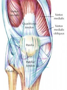 Sagittal Plane Still Matters! - Robertson Training Systems