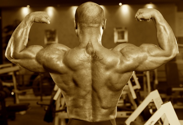 Lats: Friend or Foe? - Robertson Training Systems