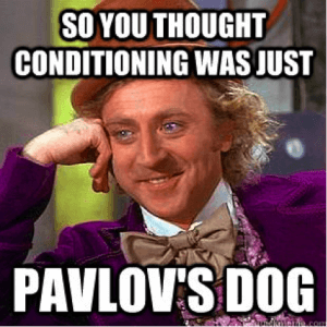 Pavlov Conditioning