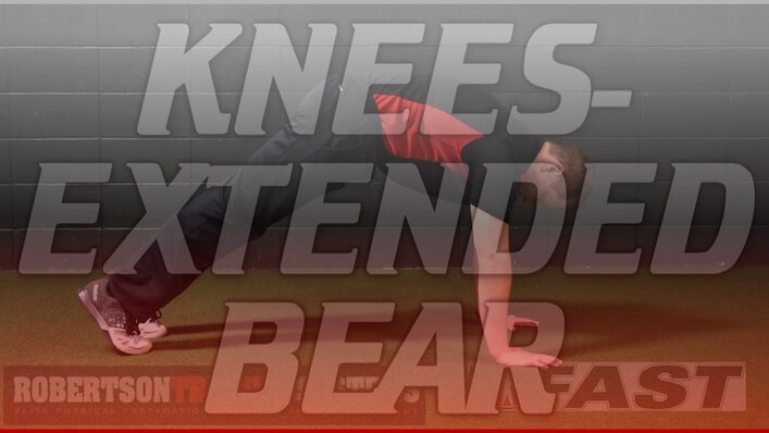 rts-yt-knees-extended-bear