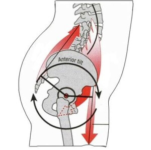 anterior-pelvic-tilt-and-lordosis