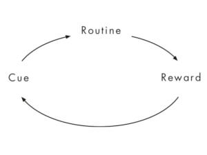 HabitLoop